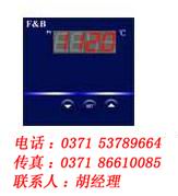 XMZ5000，百特，智能數(shù)顯儀表