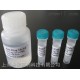 跨膜蛋白SEMA3D抗體