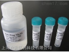 磷酸化復(fù)制因子A蛋白2抗體