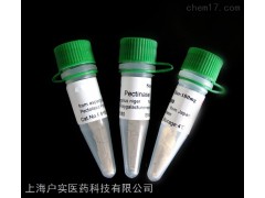 轉(zhuǎn)移生長因子β受體1抗體（TGF-βRⅠ，TGFβRⅠ）